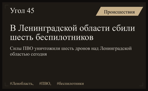 Силы ПВО успешно уничтожили шесть беспилотников над территорией Ленинградской области