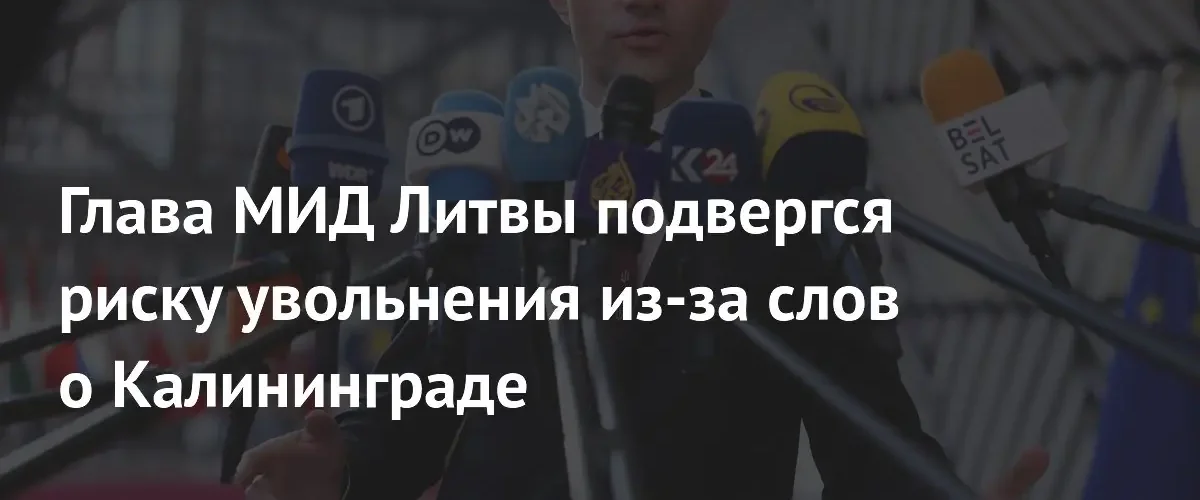Министра иностранных дел Литвы могут отправить в отставку за резкие высказывания