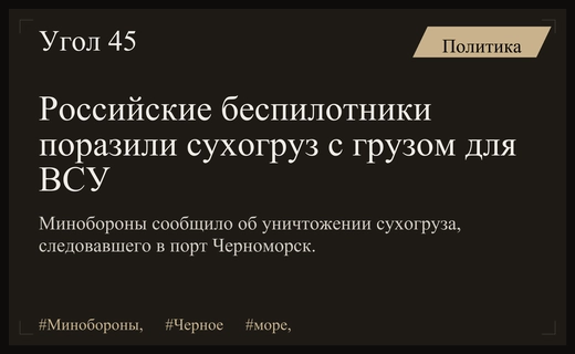Минобороны РФ заявило об уничтожении сухогруза с грузом для ВСУ