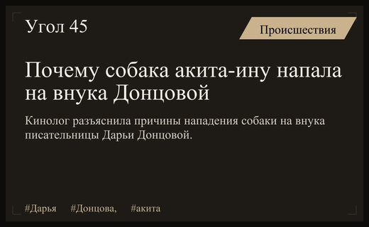 Кинолог объяснила причины нападения собаки акита-ину на внука Дарьи Донцовой