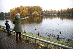 Синоптики определили вероятный период наступления первых осенних заморозков в Москве