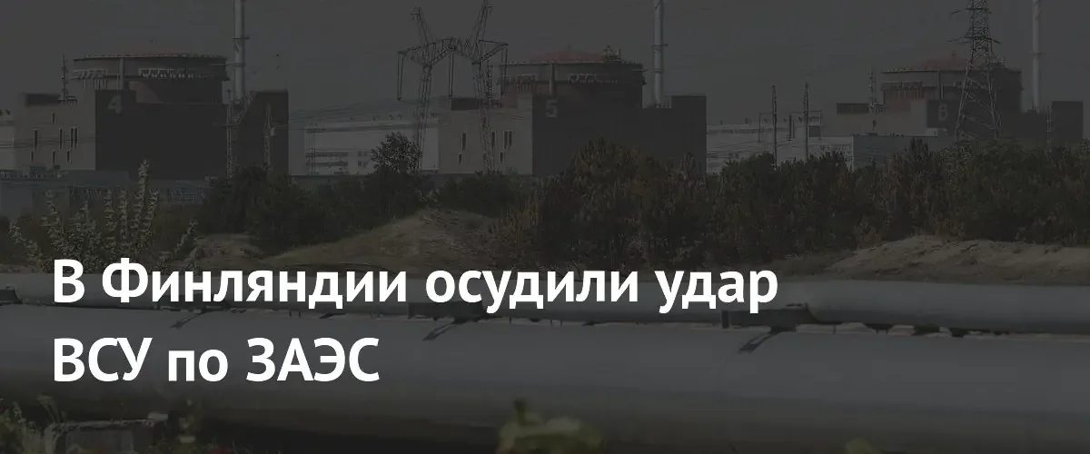 Финский политик призвал Европу осудить атаку ВСУ на Запорожскую АЭС