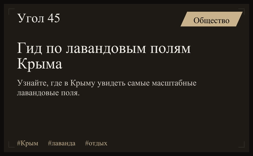 Фиолетовое море Крыма: гид по самым масштабным лавандовым полям полуострова
