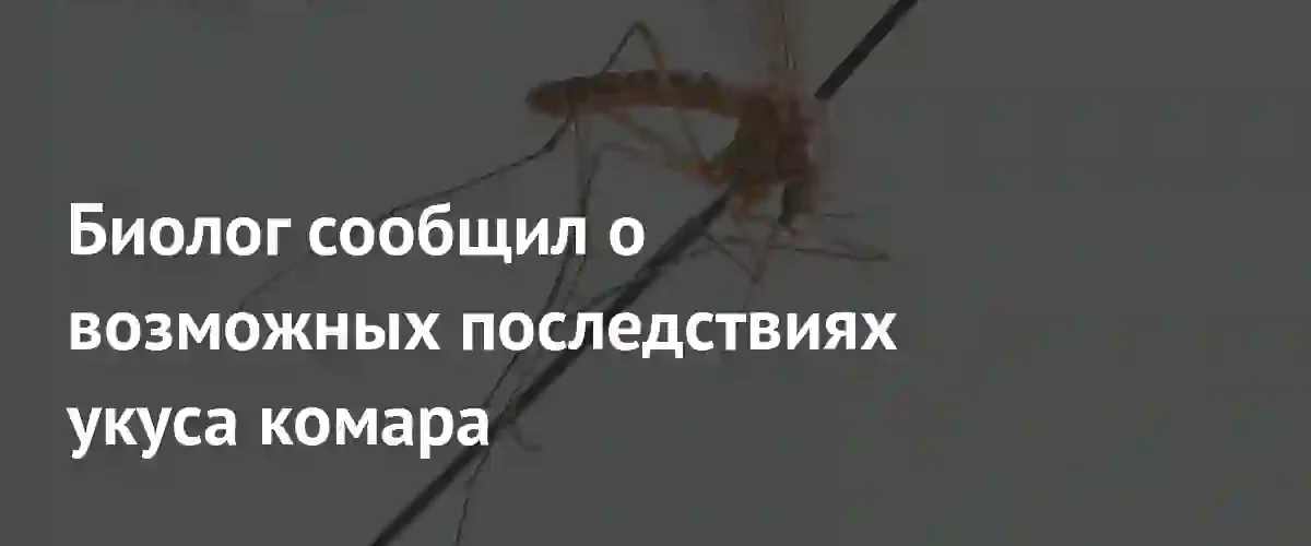 Биологи опровергли миф о возможности откладывания личинок комаров в тело человека