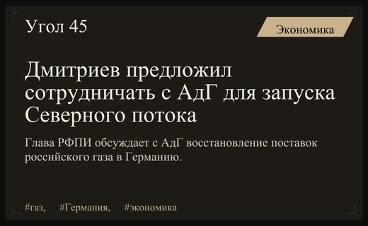 Кирилл Дмитриев допустил возобновление поставок газа через сотрудничество с партией АдГ