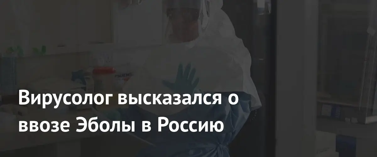 Вирусолог оценил риск завоза Эболы в Россию