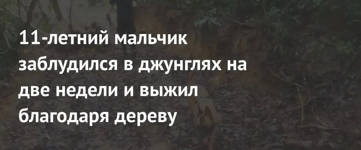 В Китае 11-летний мальчик выжил две недели в джунглях благодаря фигам