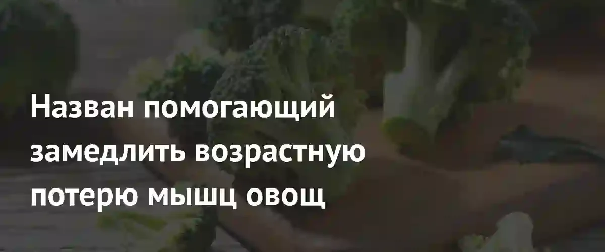 Китайские ученые нашли способ замедлить возрастную потерю мышечной массы