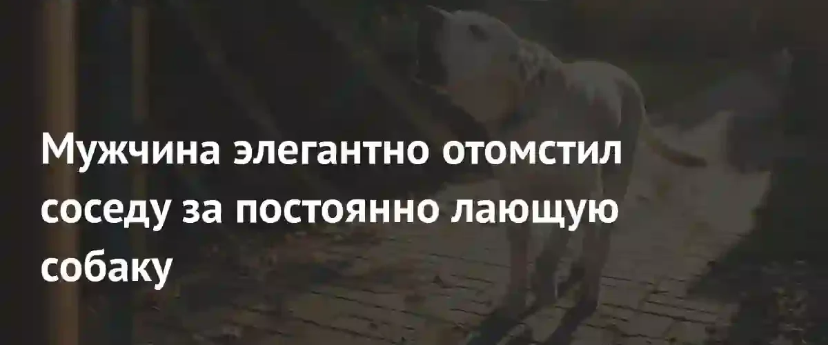 Житель Reddit придумал необычный способ заставить соседа замолчать из-за лая