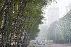 Жителей Подмосковья предупредили о двух волнах погодной опасности первого сентября