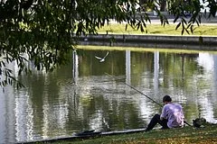 Жителей Москвы и Подмосковья ждет долгожданное бабье лето в середине сентября