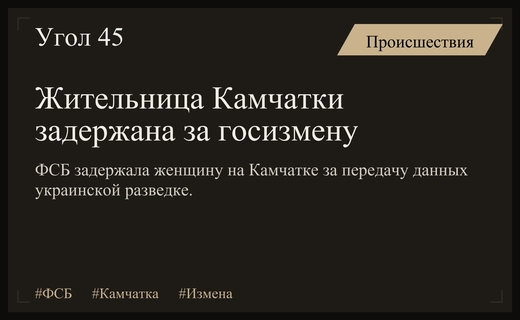 Жительница Камчатки задержана по подозрению в государственной измене в пользу Украины