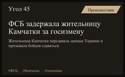Жительница Камчатки задержана ФСБ по подозрению в государственной измене
