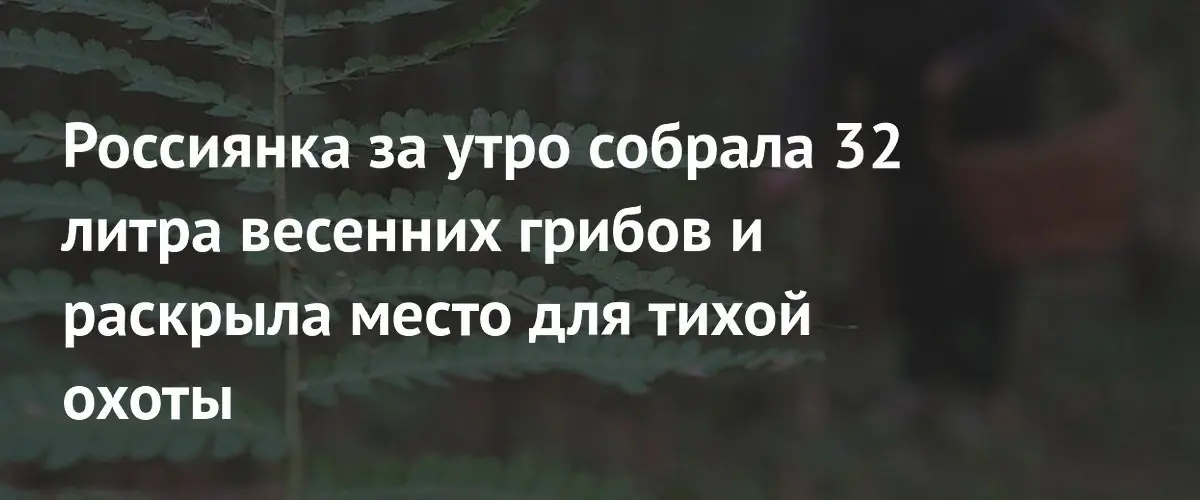 Жительница Пермского края нашла богатую грибную полянку и поделилась рецептом
