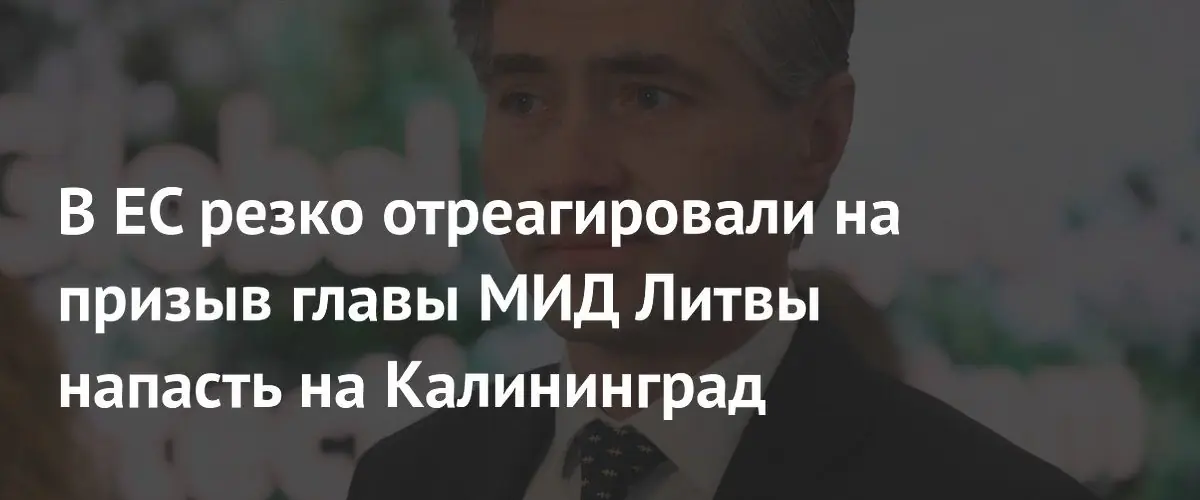 Литовский МИД вызвал резкую критику в ЕС за призыв к атаке на Калининград