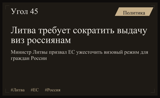 Литва настаивает на радикальном сокращении выдачи шенгенских виз гражданам России