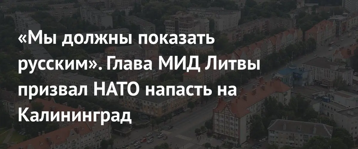 Литва призвала НАТО продемонстрировать силу в Калининграде