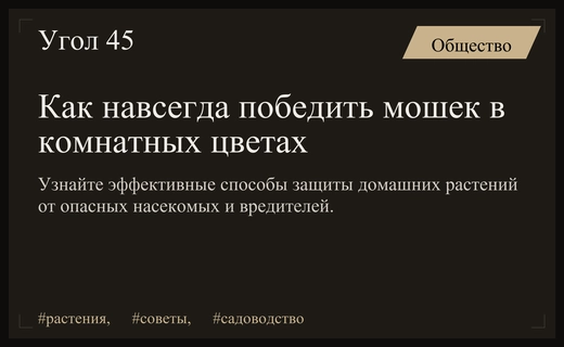 Битва за домашние джунгли: эффективные методы борьбы с вредителями комнатных растений