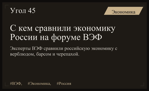 Живучесть верблюда или медлительность черепахи: эксперты ВЭФ оценили российскую экономику
