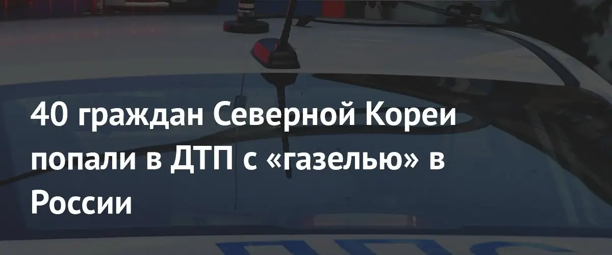 В Нижегородской области автобус с гражданами КНДР вылетел в кювет