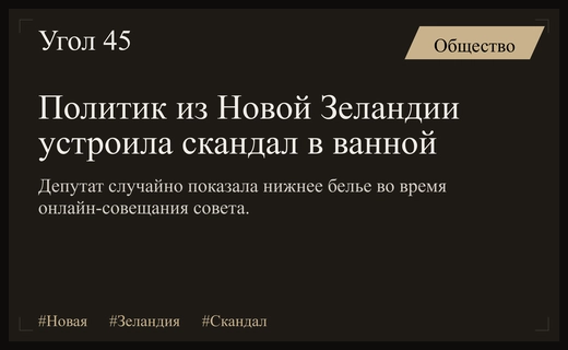 Скандальное онлайн-заседание в Новой Зеландии: политик показала белье в прямом эфире