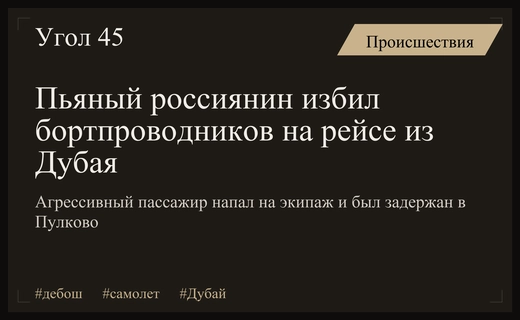 Скандальный инцидент в небе: пьяный россиянин напал на экипаж самолета
