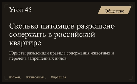 Сколько животных можно держать в квартире: юридические тонкости и запрещенные виды
