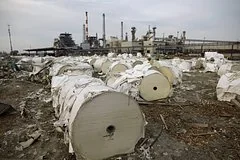 Экологическая катастрофа в Индонезии из-за экспорта древесной биомассы в Японию