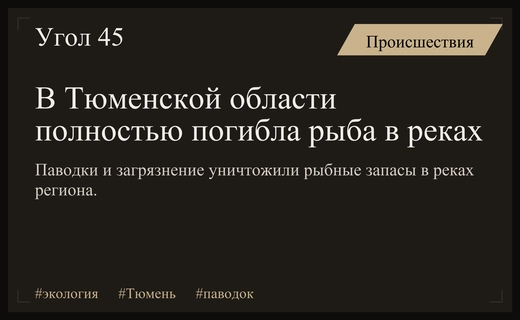 Экологическая катастрофа в Тюменской области: полная гибель рыбы в реках Тура и Тобол