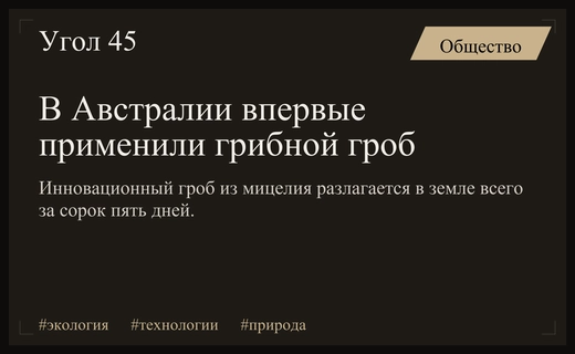 Экологическая революция в Австралии: первые похороны в инновационном грибном гробу