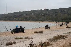 Экологическая трансформация Азовского моря: рекордная соленость меняет состав фауны