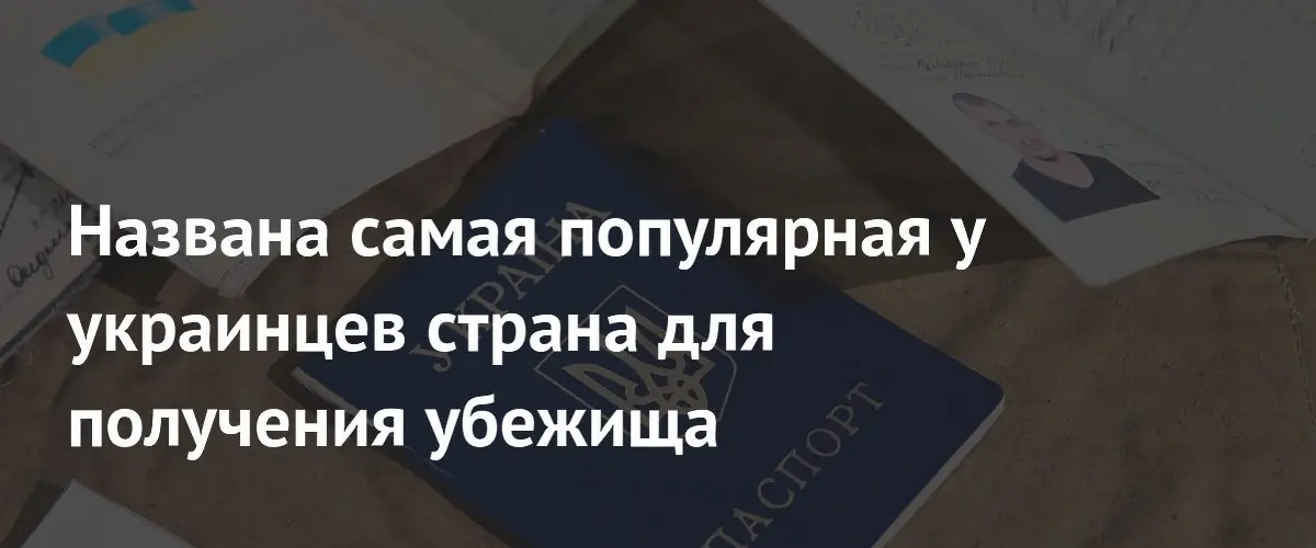 Украинцы в 2026 году чаще всего просили убежище в России