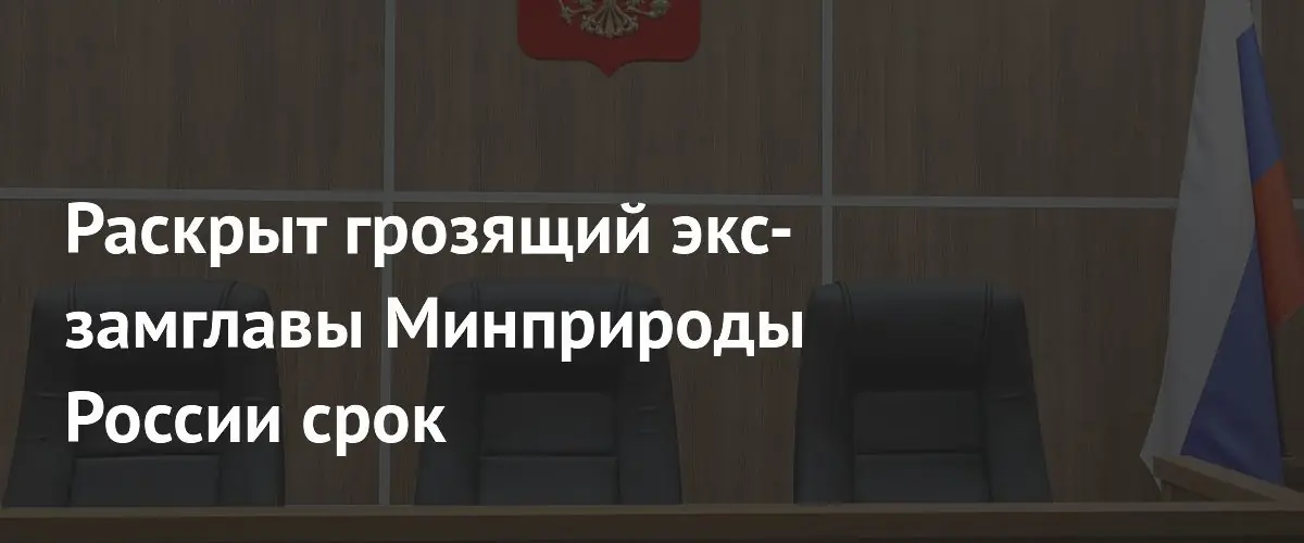 Экс-замглавы Минприроды Буцаеву грозит до десяти лет за мошенничество