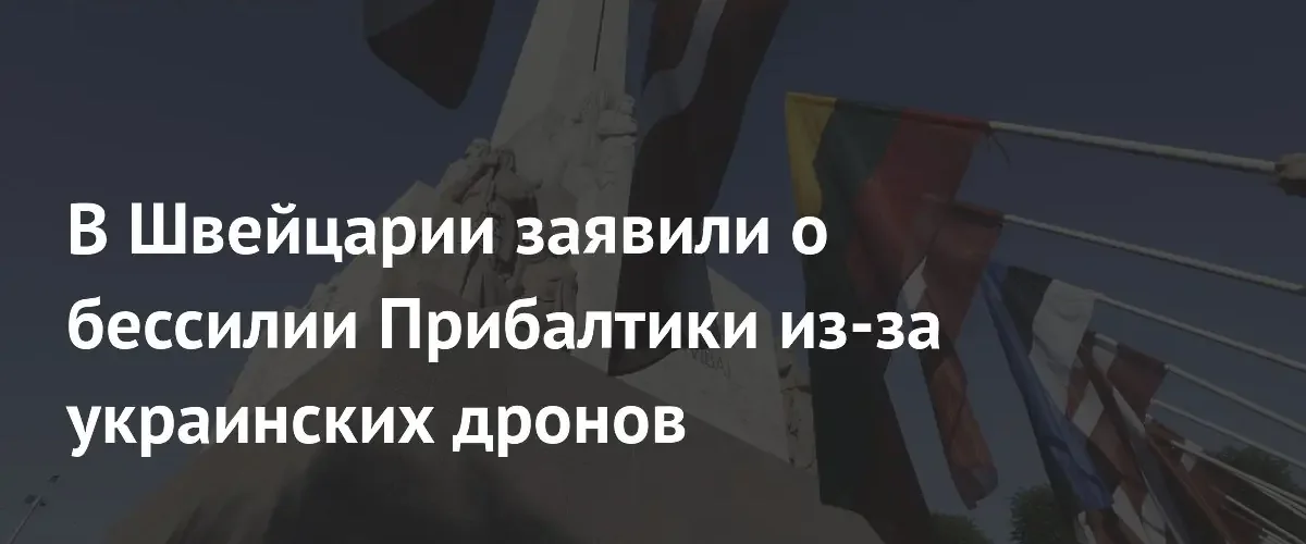 Эксперт из Швейцарии заявил о неспособности стран Прибалтики контролировать украинские дроны
