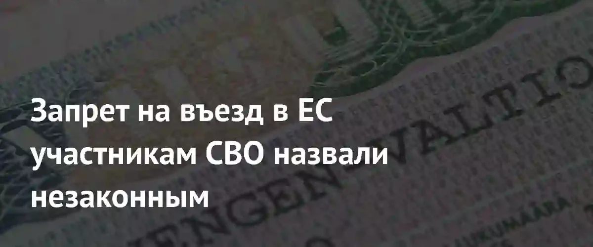 Эксперт назвал незаконными планы Евросоюза по запрету въезда участникам СВО