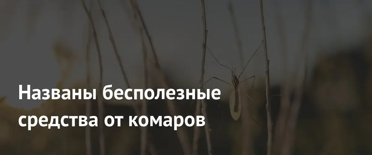 Эксперты Роскачества назвали неэффективные способы защиты от укусов комаров