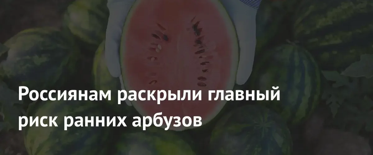 Эксперты Роскачества предупредили россиян о скрытых опасностях ранних арбузов