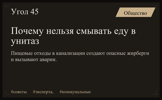Эксперты предупредили россиян о смертельной опасности смывания остатков еды в унитаз