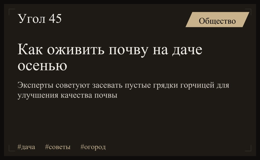 Эксперты призвали российских дачников использовать сидераты для оздоровления почвы осенью