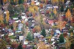 Эксперты призвали российских дачников срочно очистить участки от гнилого урожая