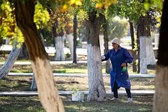 Эксперты призвали российских дачников срочно заняться побелкой деревьев в садах