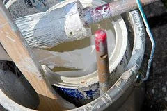 Эксперты раскрыли секретный способ усиления защиты садовых деревьев с помощью молока