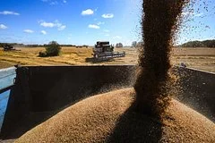 Экспорт российской пшеницы в Турцию обвалился до годового минимума из-за логистики