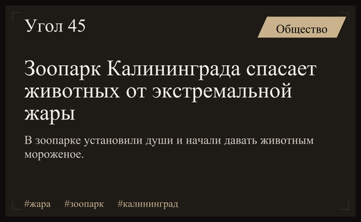 Экстремальная жара в Калининградской области заставила зоопарк внедрять новые системы охлаждения
