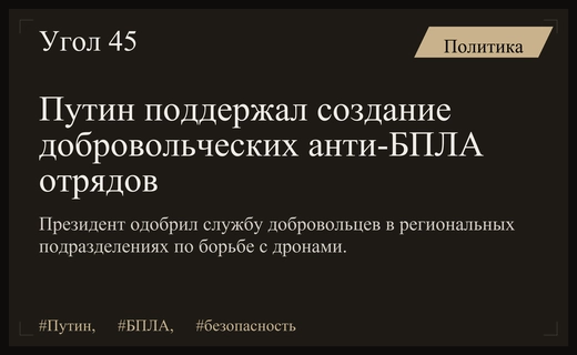 Владимир Путин одобрил создание добровольческих подразделений для борьбы с беспилотниками
