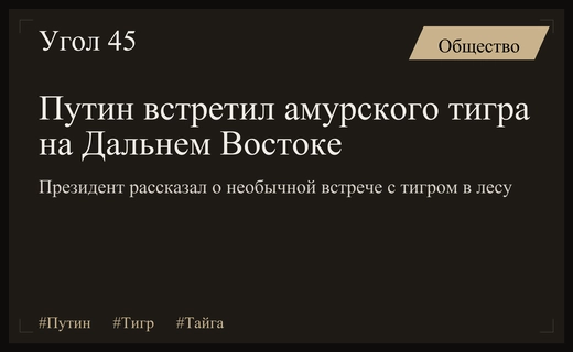 Владимир Путин поделился уникальными впечатлениями от встречи с амурским тигром