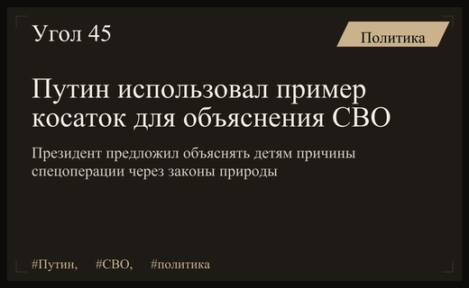 Владимир Путин призвал объяснять причины спецоперации через законы дикой природы