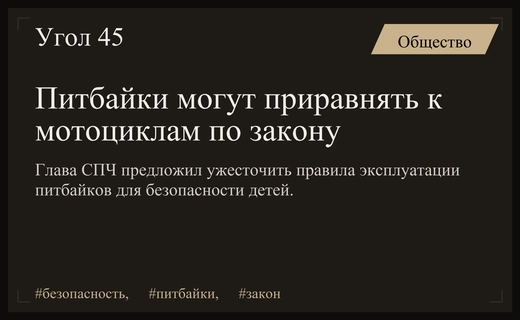 Глава СПЧ выступил за приравнивание питбайков к мотоциклам в законодательстве