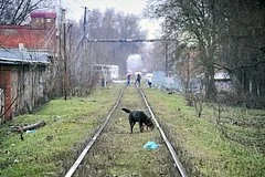 Следователь Амурхан Яндиев опроверг существование мифического Ростовского треугольника