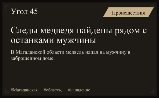 Следы медведя стали главной зацепкой в деле о гибели россиянина